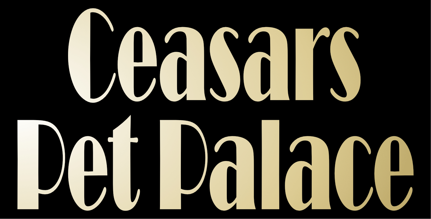 Caesar's Pet Palace 